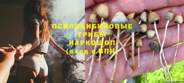 гидропоника Няндома