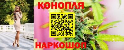 эйфоретик Камышлов