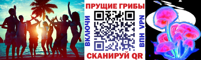 Псилоцибиновые грибы Magic Shrooms  где продают   Якутск 