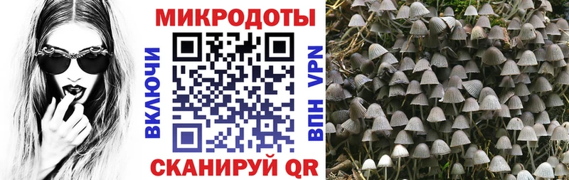 Псилоцибиновые грибы мицелий МЕГА как зайти Якутск