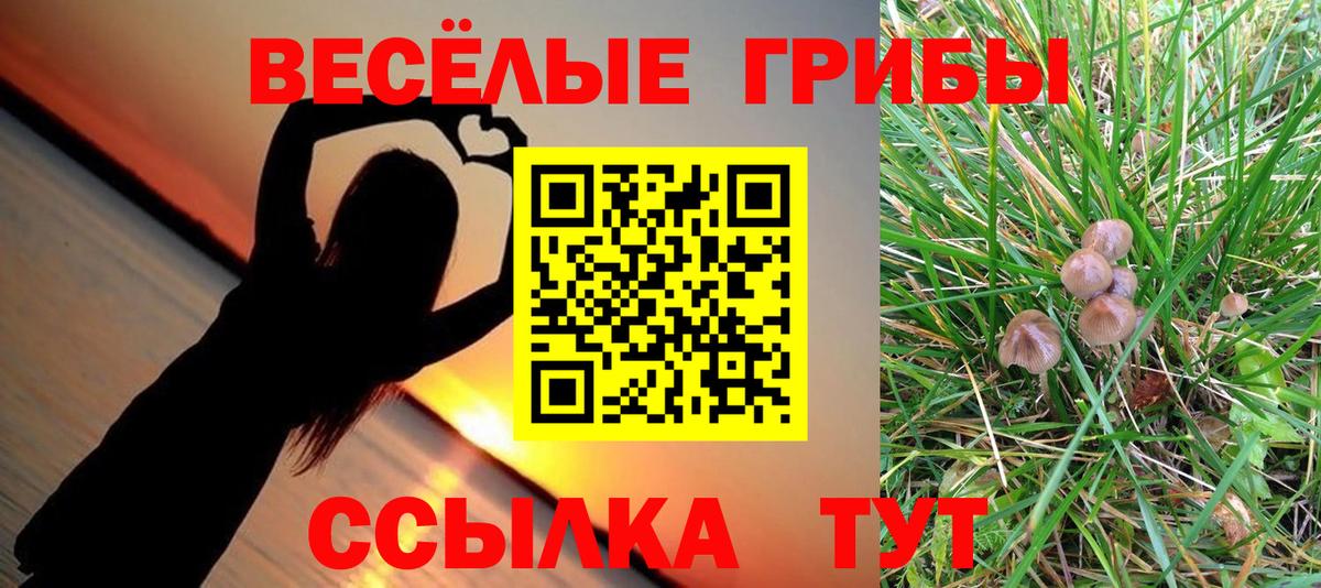 Псилоцибиновые грибы MAGIC MUSHROOMS  Вход с VPN  Якутск 