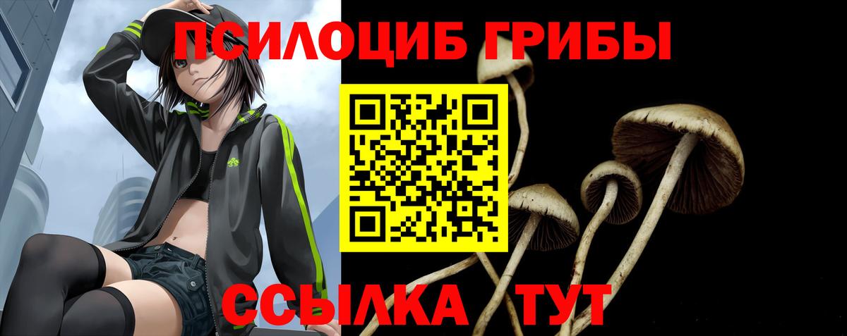 Галлюциногенные грибы прущие грибы Якутск